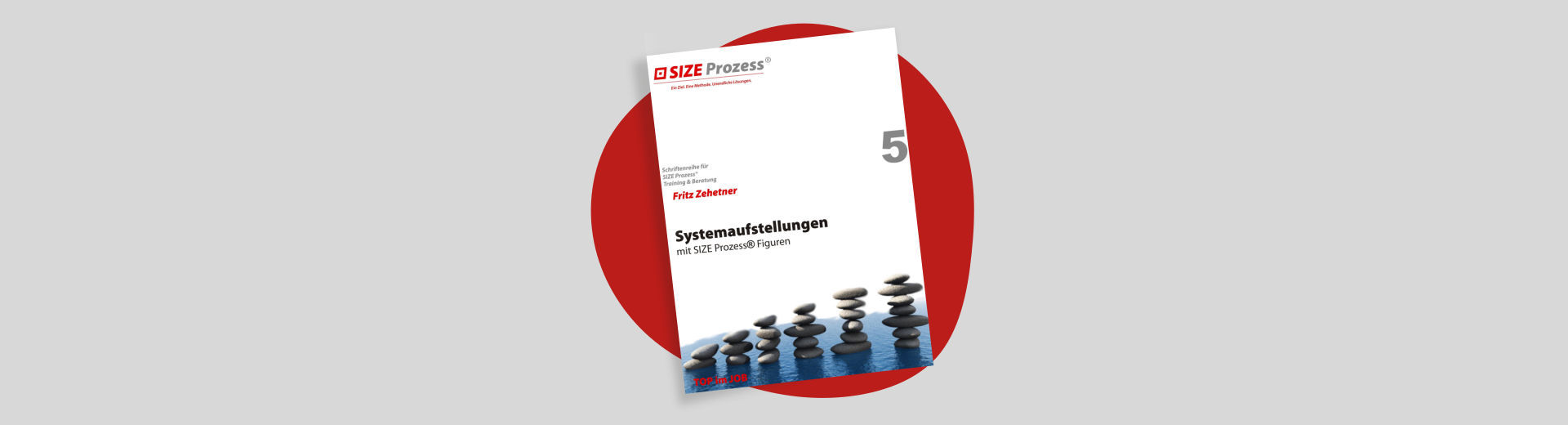 Systemaufstellung mit SIZE PROZESS® Figuren